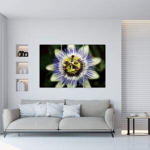 Obrazy kvetov (Obraz 120x80cm)