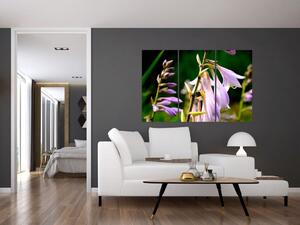 Kvety - obraz (Obraz 120x80cm)
