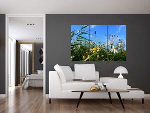 Obraz lúčnych kvetov (Obraz 120x80cm)