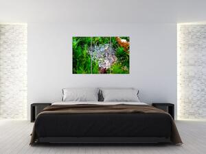Ranná rosa - moderný obraz (Obraz 120x80cm)