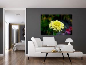 Obrazy kvetiny (Obraz 120x80cm)