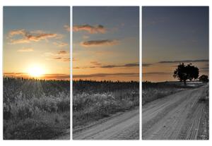 Západ slnka - obraz (Obraz 120x80cm)