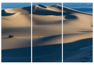 Púšť - obraz (Obraz 120x80cm)
