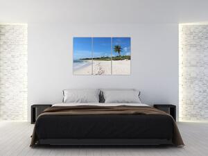 Exotická pláž - obraz (Obraz 120x80cm)
