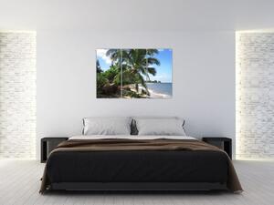 Palma - obraz (Obraz 120x80cm)