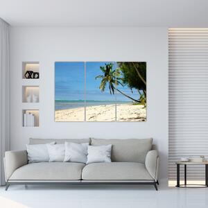 Fotka pláže - obraz (Obraz 120x80cm)