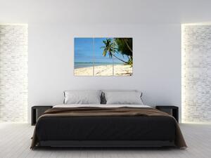Fotka pláže - obraz (Obraz 120x80cm)