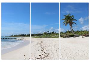 Exotická pláž - obraz (Obraz 120x80cm)