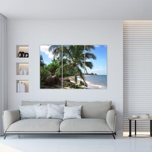 Palma - obraz (Obraz 120x80cm)