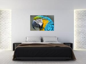 Papagáj - obraz (Obraz 120x80cm)