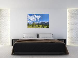 Fotka hôr - obraz (Obraz 120x80cm)
