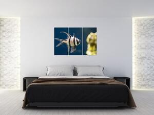 Ryba - obraz (Obraz 120x80cm)