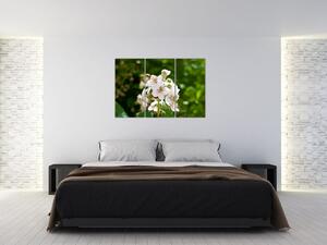 Kvetina - obraz (Obraz 120x80cm)