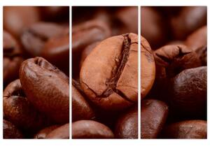Kávové zrnko - obraz (Obraz 120x80cm)