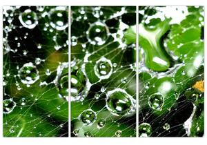 Kvapky vody - obrazy (Obraz 120x80cm)