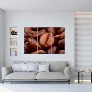 Kávové zrnko - obraz (Obraz 120x80cm)