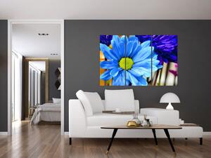 Modrá chryzantéma - obrazy (Obraz 120x80cm)