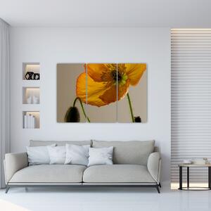 Žltý kvet - obraz (Obraz 120x80cm)