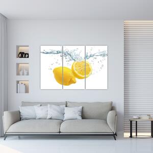 Citron- Obraz (Obraz 120x80cm)
