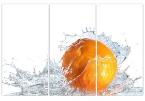 Obraz pomaranče (Obraz 120x80cm)