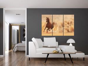 Cválajúci kôň - obraz (Obraz 120x80cm)
