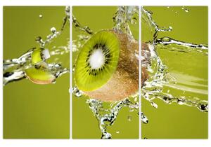 Kiwi - obraz (Obraz 120x80cm)