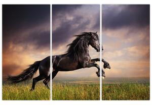Kôň - obraz (Obraz 120x80cm)
