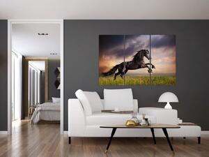 Kôň - obraz (Obraz 120x80cm)