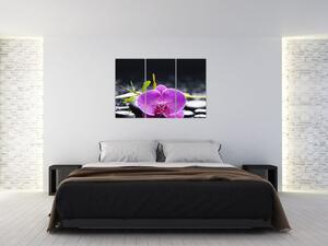 Kvet orchidey - obraz (Obraz 120x80cm)