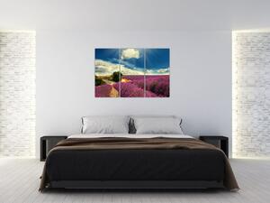 Levanduľové polia - obraz (Obraz 120x80cm)