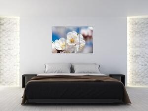 Kvet čerešne - obraz (Obraz 120x80cm)