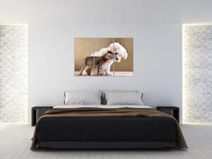 Mačiatko a šteňa - obraz (Obraz 120x80cm)