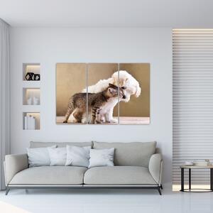 Mačiatko a šteňa - obraz (Obraz 120x80cm)