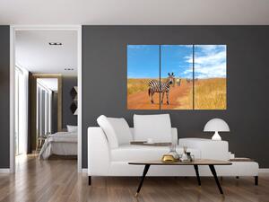 Zebra na ceste - obraz (Obraz 120x80cm)
