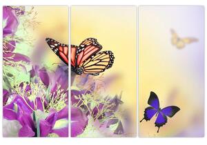 Motýle - obraz (Obraz 120x80cm)