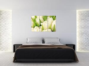 Detail tulipánov - obraz (Obraz 120x80cm)