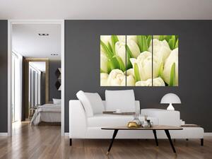 Detail tulipánov - obraz (Obraz 120x80cm)