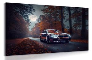 Obraz BMW v splne mesiaca