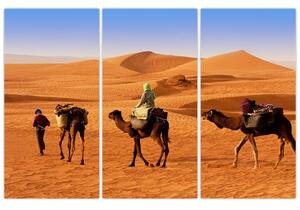 Ťavy v púšti - obraz (Obraz 120x80cm)