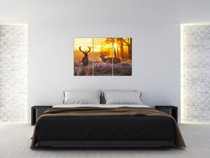 Jelene - obraz (Obraz 120x80cm)