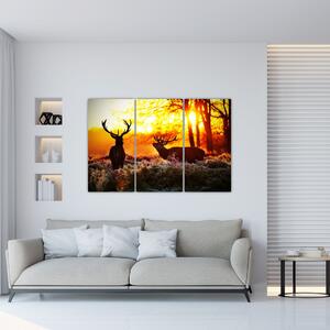 Fotka jeleňov - obraz (Obraz 120x80cm)