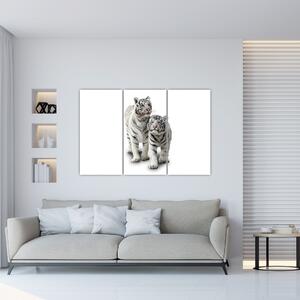 Tiger biely - obraz (Obraz 120x80cm)