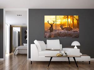 Jelene - obraz (Obraz 120x80cm)