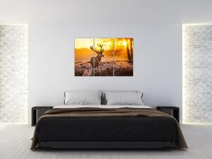 Jelen - obraz (Obraz 120x80cm)
