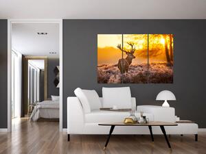 Jelen - obraz (Obraz 120x80cm)