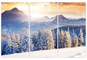 Fotka zimnej krajiny - obraz (Obraz 120x80cm)