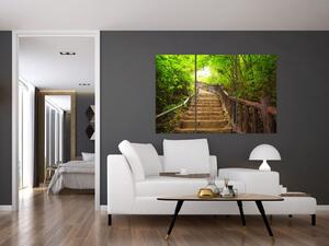 Schody v lese - obraz (Obraz 120x80cm)
