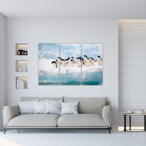 Tučniaci - obraz (Obraz 120x80cm)