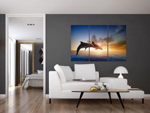 Delfíny - obraz (Obraz 120x80cm)