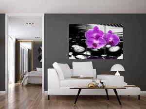 Obraz orchideí (Obraz 120x80cm)